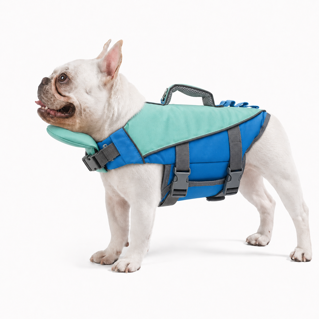 Chaleco Salvavidas Para Perros