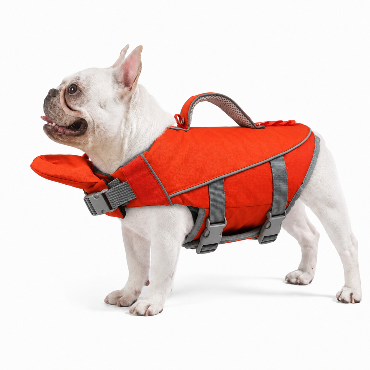 Chaleco Salvavidas Para Perros