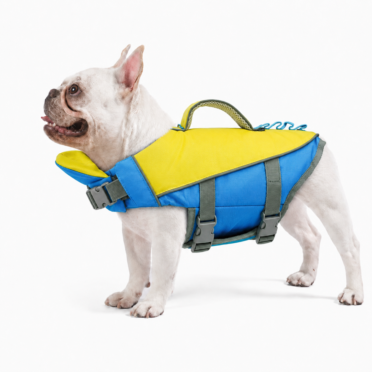 Chaleco Salvavidas Para Perros